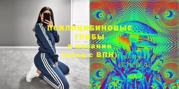 ешки Алексеевка