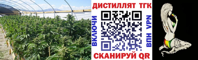 магазин продажи   Иланский  ТГК вейп с тгк 